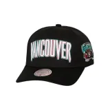 Чёрный (Ванкувер Гриззлис)