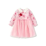 Розовый Благословение Бабочка 01315