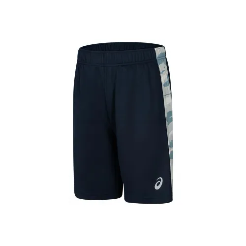 Asics Спортивные шорты Мужские Темно-синие