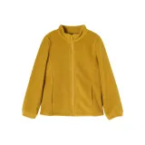 Земляной желтый