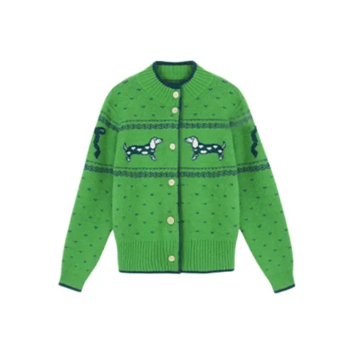 DITB Женская трикотажная одежда