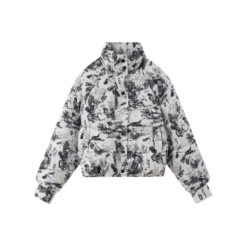 AFGGD Серебряный Женские пуховики