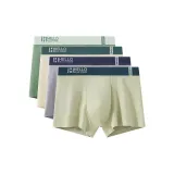 4 пачки B6 (Фрукт Зеленый + Абрикос + Светло-Серый + Светло-Зеленый)