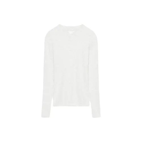 ZARA Collaboration Зебра с принтом Серый Женская T-рубашка