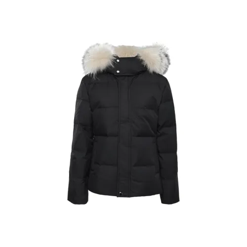 DITB Женские Пуховики