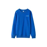 Синий Кляйна