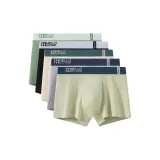 5 пачек C2 (Фрукт Зеленый+Черный+Абрикос+Светло-Серый+Светло-Зеленый)