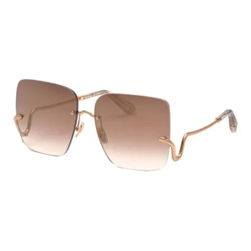 Roberto Cavalli Полибутилен Терефталат Квадратные Солнцезащитные очки Унисекс Коричневый