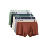 5 пачек C1 (Фрукт Зеленый+Черный+Абрикос+Светло-Серый+Бургунди)