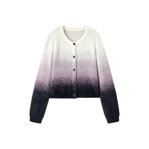 LEDIN Фиолетовый Синий В наличии Женский Трикотаж