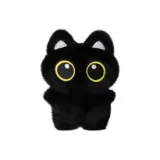 Большеглазый черный кот [Без колокольчика]