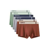 6 пачек C3 (Фрукт Зеленый + Фрукт Зеленый + Светло-Серый + Светло-Серый + Бордовый + Бордовый)