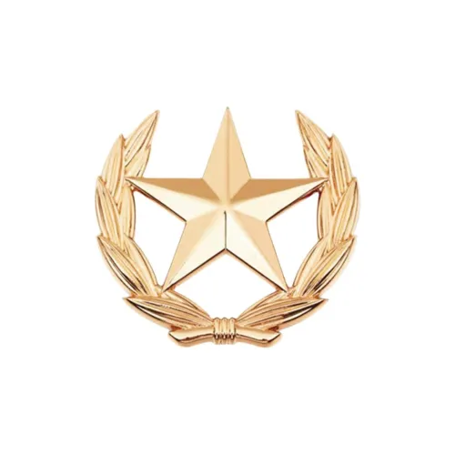 ZWU Сплав Броши Унисекс