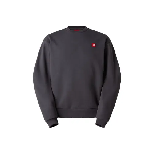 THE NORTH FACE Urban Exploration SS25 Толстовка Мужской