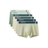 6 пачек C5 (Фрукт Зеленый + Фрукт Зеленый + Абрикос + Абрикос + Светло-Зеленый + Светло-Зеленый)