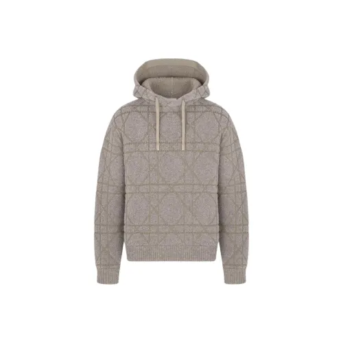 DIOR Бежевый Мужской Свитшот