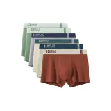 6 пачек C4 (Фрукт Зеленый + Фрукт Зеленый + Светло-Серый + Абрикос + Светло-Зеленый + Бордовый)