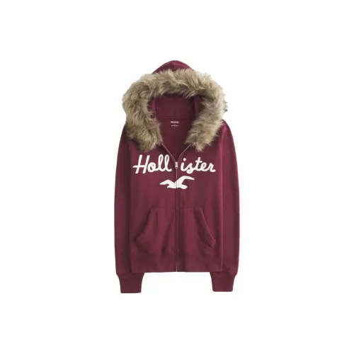 Hollister Куртки и Пальто Женские