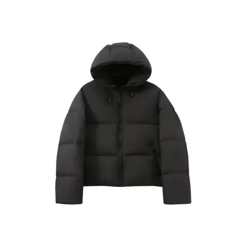 Le Alfashionline Пуховик Женские