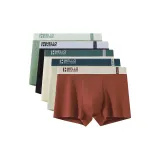 5 пачек C3 (Фрукт Зеленый+Черный+Абрикос+Светло-Зеленый+Бургунди)