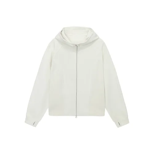 NANS STUDIO Мужские Свитшоты