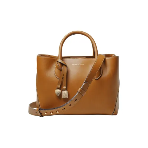 Aspinal Of London Full GRAIN LEATHER Сумка через плечо средний размер женский коричневый