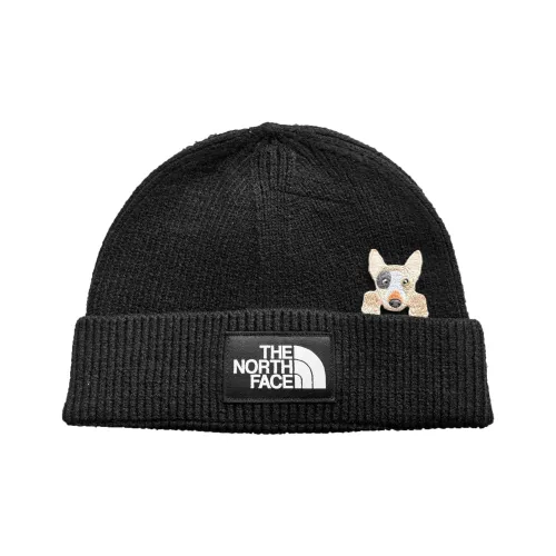 The North Face Нейлон Шапки-бини Унисекс Черный Белый Серебряный