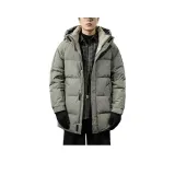 Серый Зеленый