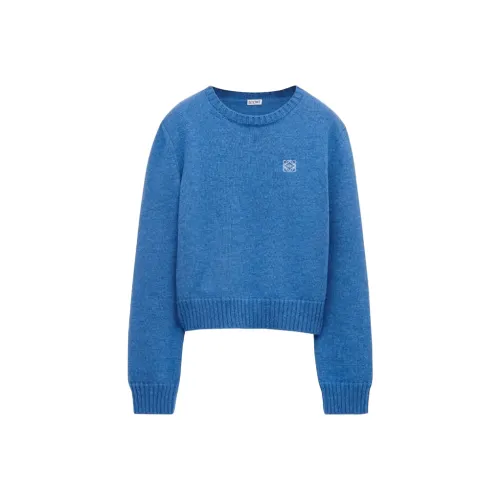 LOEWE Совместное издание Свитер Женские Джинсовый синий