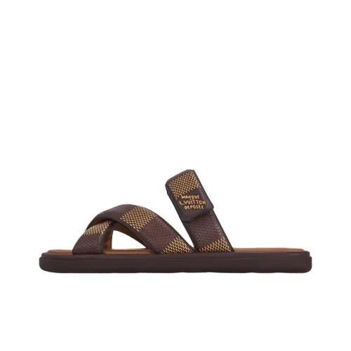 LOUIS VUITTON Слипоны Мужской Коричневый