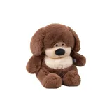 Коричневый, запутанный, бобовый, собака