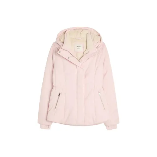 Hollister Куртки и Пальто Женские