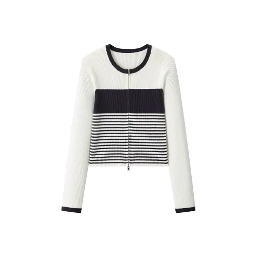 LEDIN Carbon Gray В наличии Женский Трикотаж