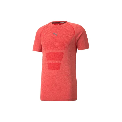 PUMA EVOKNIT High Risk Red Мужская футболка