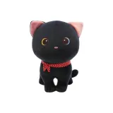 Благословение Кошка, Черный Рис-Черный Кот