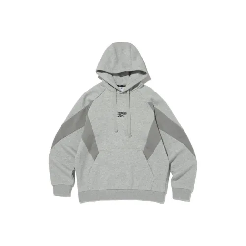 Reebok совместный бренд Серый Мужской Свитшот