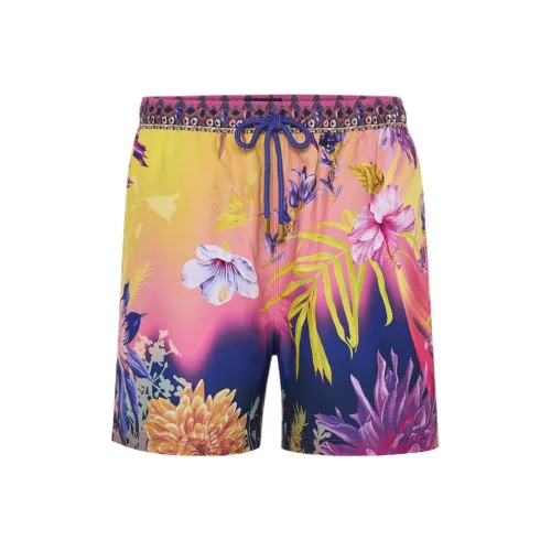 Camilla Многоцветные Мужские Повседневные Шорты