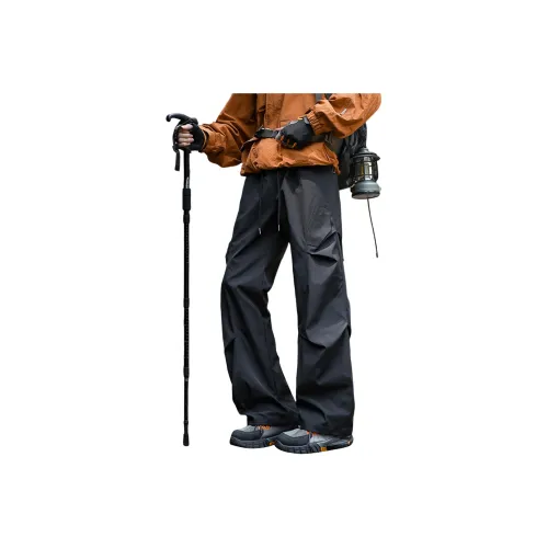 DINGFENGBAOLUO Карго-брюки Унисекс