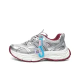 Будущее Серебристый