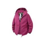 Электрический сливовый