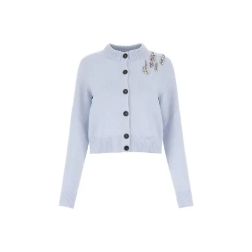 Alexander McQueen Трикотаж Женский Светло-Синий