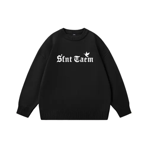 SFNT Унисекс Свитера