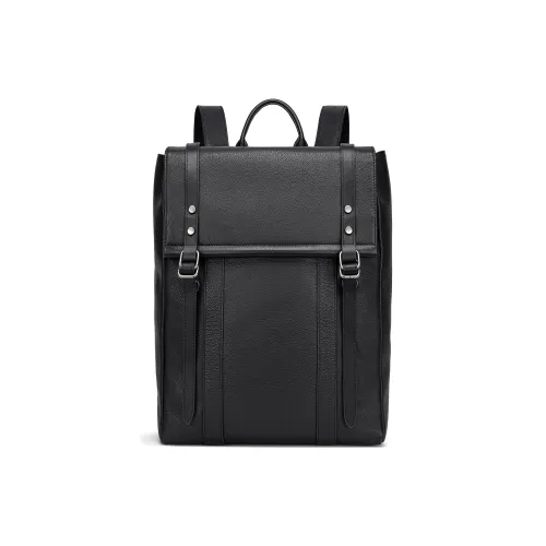 FAIRWHALE Рюкзак из коровьей кожи мужской черный