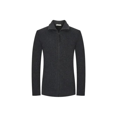 SAINT ANGELO Метеоритный серый Мужские свитеры