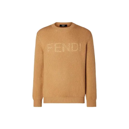 FENDI Коричневые Мужские Свитера