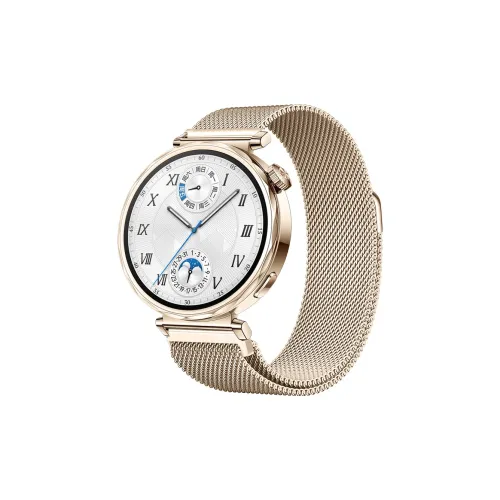 COORUBA Ремешок Совместимость с Huawei Нержавеющая сталь Материал 255 мм