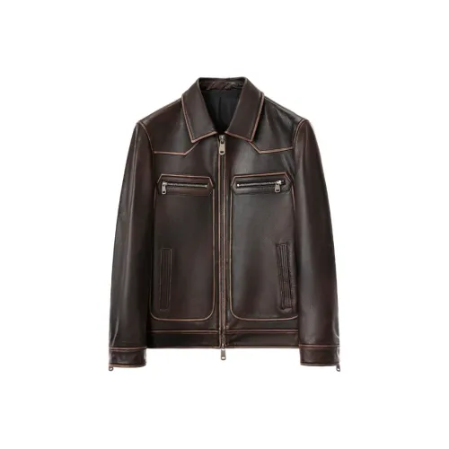 SINBOS Орех Коричневый Мужская Кожаная Куртка