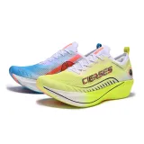 Ле-Ман Несоответствующие цвета