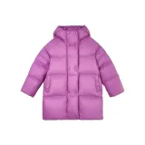 Фиолетовый сливовый