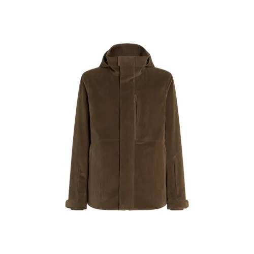 Ermenegildo Zegna Коричневый Мужская Лыжная Верхняя Одежда